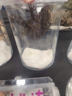 @the Grounds by null