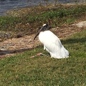 Brinson Park - Parks Near Me - Kissimmee, Florida