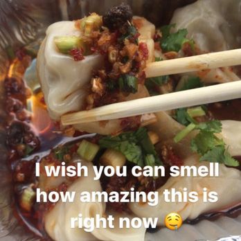 The Dumpling Lady - Veggie dumplings! Just incredible! - Szechuan Near Me - Charlotte, North Carolina