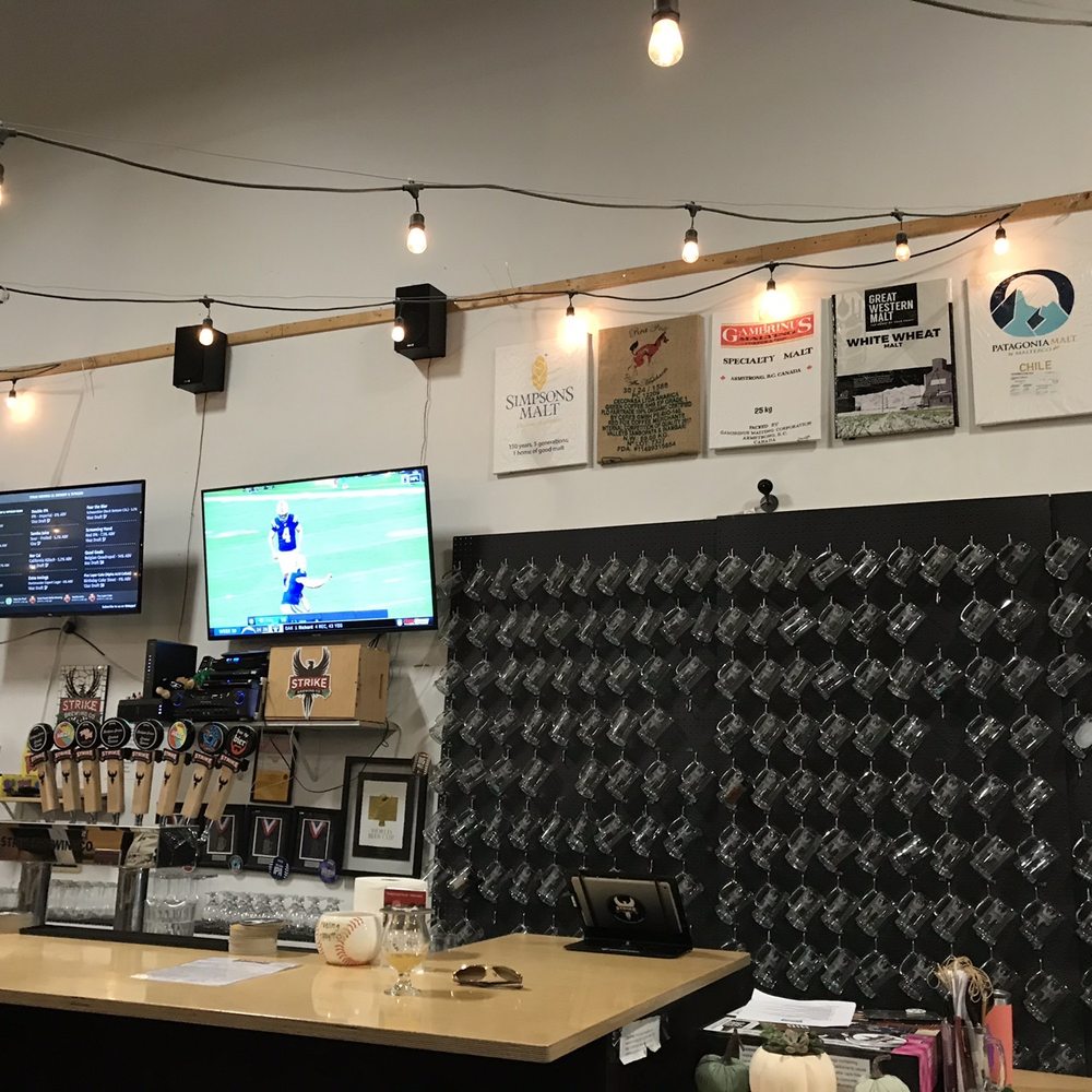 Strike Brewing - Caught a moment where the bartender crouched down for something. - Breweries Near Me - San Jose, California Strike Brewing - Caught a moment where the bartender crouched down for something. - Breweries Near Me - San Jose, California
