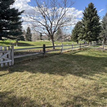 Lawn Adventures - Spring Clean-ups! - Lawn Services Near Me
