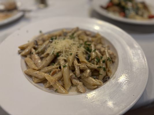 Owl Cafe near St. George Island in St. George Island, FL