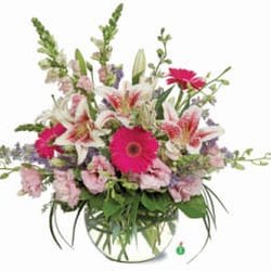 Kokee Flowers - This was what I ordered
