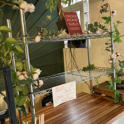 Wild Roots - Cotton plant (synonymous with racist establishments signifying slave owner sympathizers)