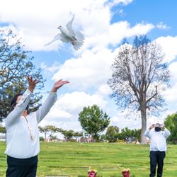 White Dove Release - Absolutely beautiful moment