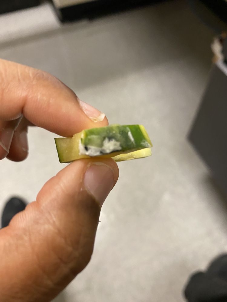 DURSO’S PASTA & RAVIOLI COMPANY 110 Photos & 154 Reviews Pasta