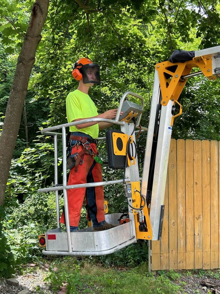 Dirty Work - tree service in Bangor, ME