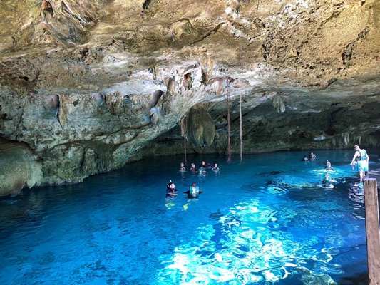 Two Eyes Cenote by null