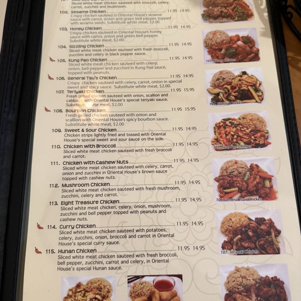 Oriental House - Spicey dishes - Chinese Near Me - Greenville, South Carolina Oriental House - Spicey dishes - Chinese Near Me - Greenville, South Carolina
