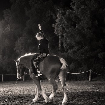 Gladius The Show - THUNDER - Horseback Riding Near Me - Las Vegas, Nevada