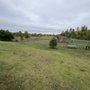 Photo of Amazon Small Dog Park