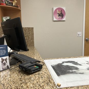 Alta Mesa Animal Hospital - Clean examination rooms - Veterinarians Near Me - Mesa, Arizona