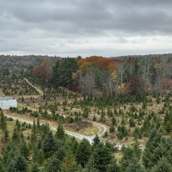 Green Acres Christmas Tree Farm - Christmas Trees Near Me - Edgecomb, Maine Green Acres Christmas Tree Farm - Christmas Trees Near Me - Edgecomb, Maine