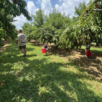 Battleview Orchards - Pick Your Own Farms Near Me - Freehold, New Jersey