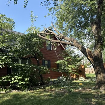 Timber Limber Tree Service - Tree Services Near Me - Goddard, Kansas Timber Limber Tree Service - Tree Services Near Me - Goddard, Kansas