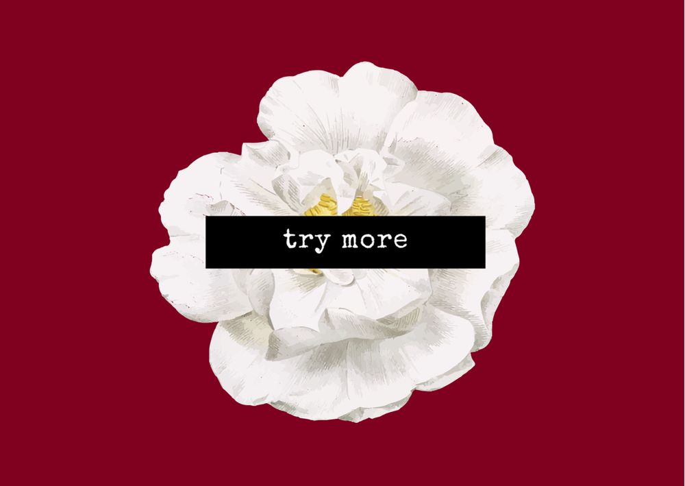 TRY MORE Updated June 2024 Request Information Winnipeg, Manitoba