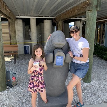 Manatee Viewing Center - delicious kona ice at TECO - Zoos Near Me - Apollo Beach, Florida Manatee Viewing Center - delicious kona ice at TECO - Zoos Near Me - Apollo Beach, Florida