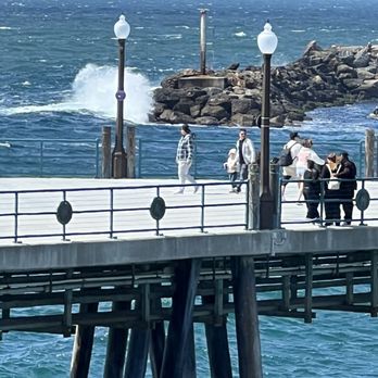 Old Tony's - Close up of pier - one of many views from Tony's - Seafood Near Me - Redondo Beach, California Old Tony's - Close up of pier - one of many views from Tony's - Seafood Near Me - Redondo Beach, California