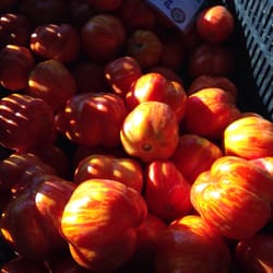The Green Thumb - Pretty tomatoes!