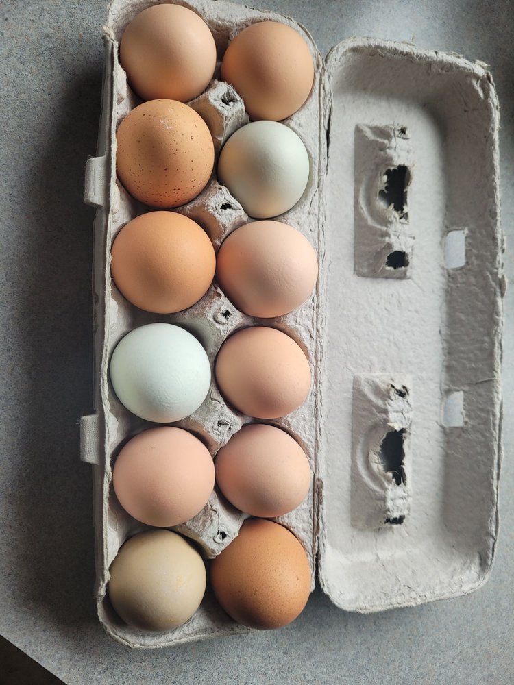 VALLEY CASH FEED COMPANY LLC Updated September 2024 1511 Main Ave