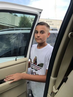 Birds Barbershop by null