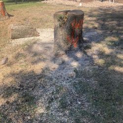 Dsm tree service and landscape