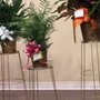 Flower Box Florist