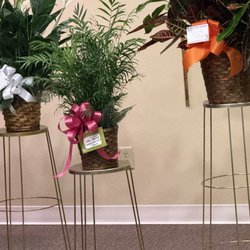 Flower Box Florist