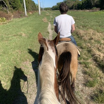 Turkey Creek Stables - Horse - Horseback Riding Near Me - Plant City, Florida Turkey Creek Stables - Horse - Horseback Riding Near Me - Plant City, Florida