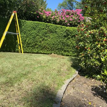 Velasquez landscaping - Before - Landscaping Near Me Velasquez landscaping - Before - Landscaping Near Me