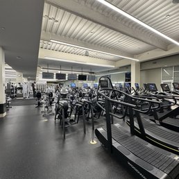 Equinox Gym Equipment: Ultimate Guide to Top Fitness Gear