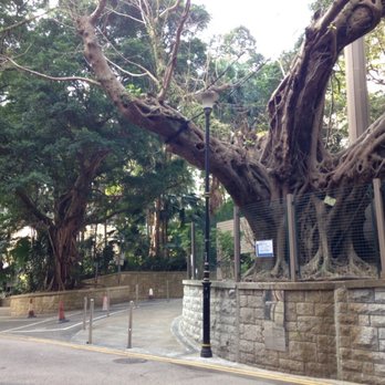 香港公園 - Parks Near Me - Hong Kong, HK 香港公園 - Parks Near Me - Hong Kong, HK
