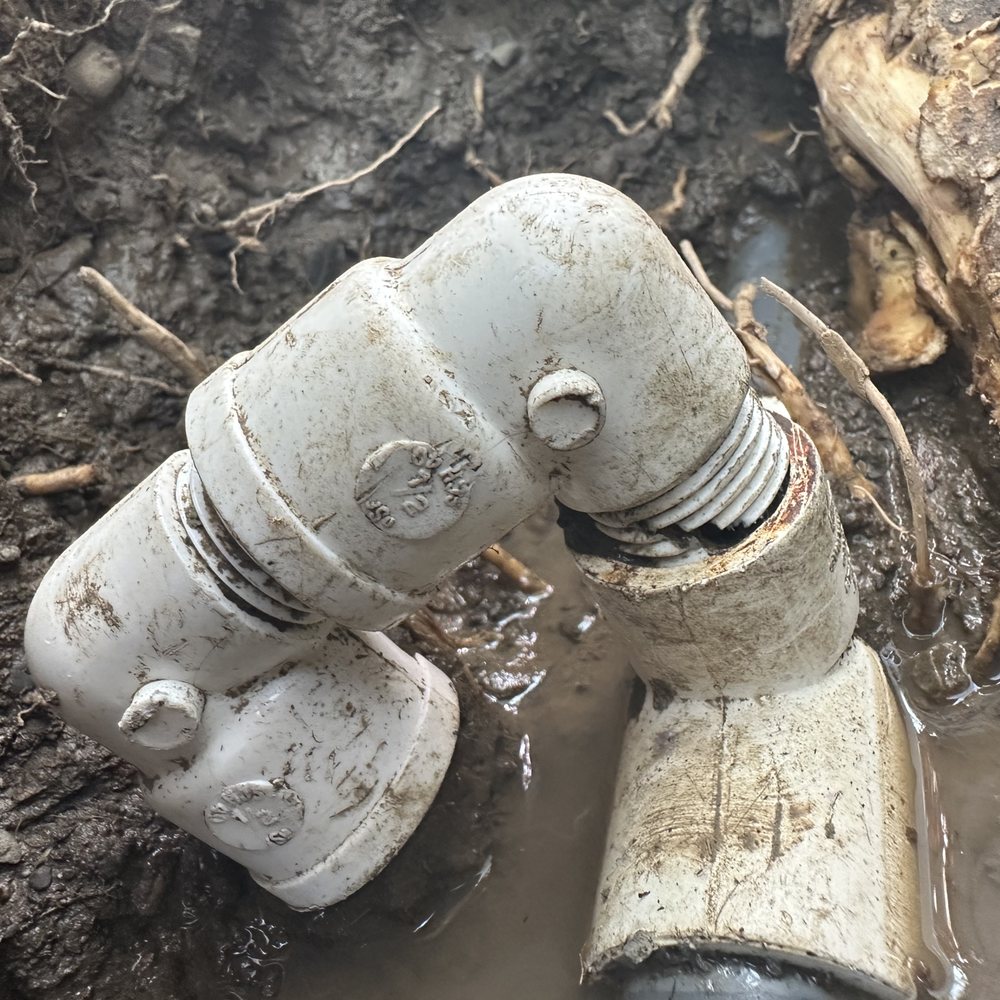 Dick's Sprinkler Repair - Broken supply pipe (tree root damage) - Irrigation Near Me Dick's Sprinkler Repair - Broken supply pipe (tree root damage) - Irrigation Near Me