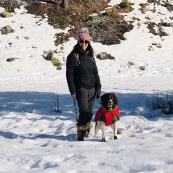 Las Cruces Dog Sports - First Snow day!