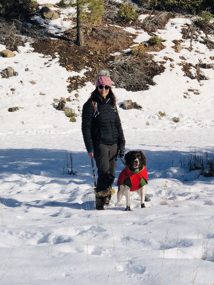 LAS CRUCES DOG SPORTS Updated September 2024 4208 Escondido Ln, Las