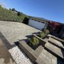 Bay Area Landscaping