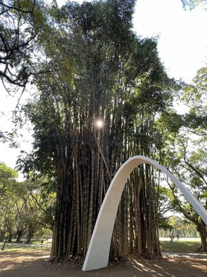 Ibirapuera Park by null