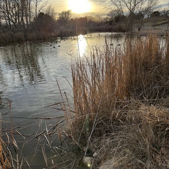 J Kenneth Smith Bird Sanctuary - Pond with ducks at sunset. - Parks Near Me - Roswell, New Mexico J Kenneth Smith Bird Sanctuary - Pond with ducks at sunset. - Parks Near Me - Roswell, New Mexico