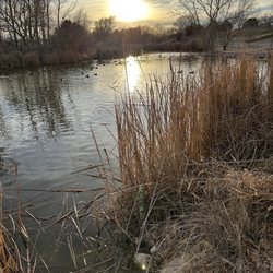 J Kenneth Smith Bird Sanctuary - Pond with ducks at sunset.