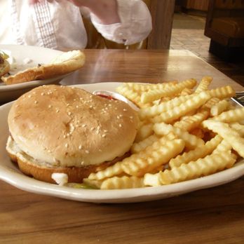 Ritzee Hamburgers - a plate of french fries - Burgers Near Me - Battle Creek, Michigan