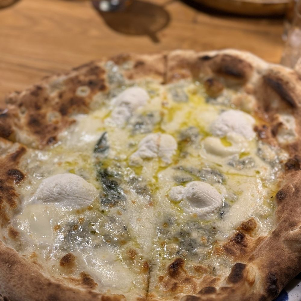 Osteria 500 - Italian Near Me - Sarasota, Florida Osteria 500 - Italian Near Me - Sarasota, Florida