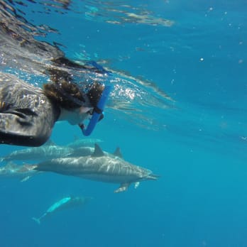 Bay Side Adventures - Swimming with dolphins in the bay - Tours Near Me - Honaunau, Hawaii Bay Side Adventures - Swimming with dolphins in the bay - Tours Near Me - Honaunau, Hawaii