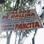 Caldos de Gallina