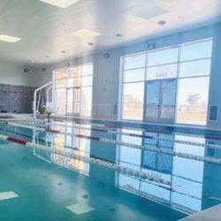 Hippo Swim Club