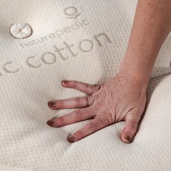 Naturepedic Organic Mattress Store Frisco