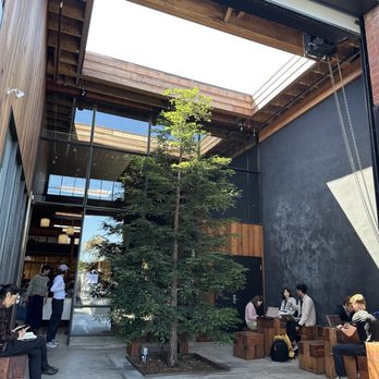 Hedge Coffee - Coffee & Tea Near Me - San Francisco, California Hedge Coffee - Coffee & Tea Near Me - San Francisco, California