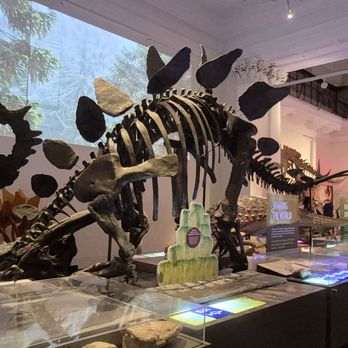 Australian Museum - Museums Near Me - Sydney, NSW Australian Museum - Museums Near Me - Sydney, NSW