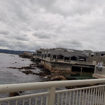 The Open Sea - Aquariums Near Me - Monterey, California The Open Sea - Aquariums Near Me - Monterey, California