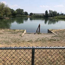 Bozeman Pond - Let your dog swim