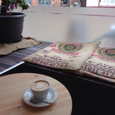 Black & Bloom by null